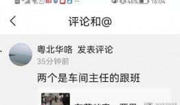 广州东莞爆料案件最新,惊人真相揭露！